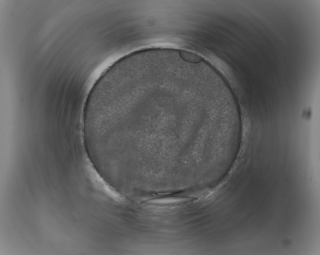 X0000111011240200907101308