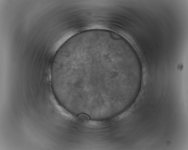 X0000111011241200907101308