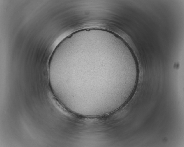X0000111011242200907101308