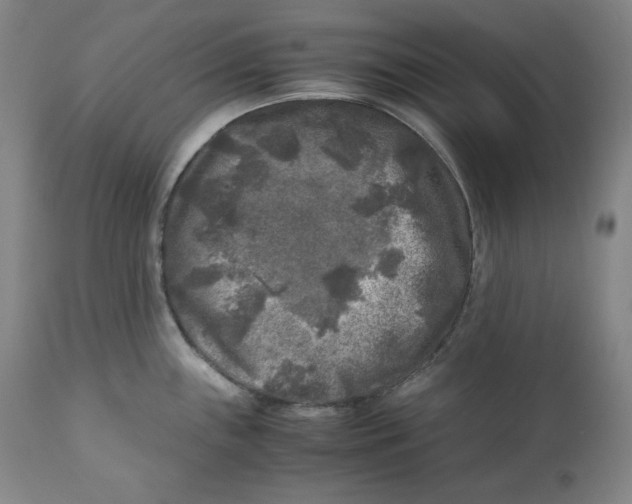 X0000111011243200907101308