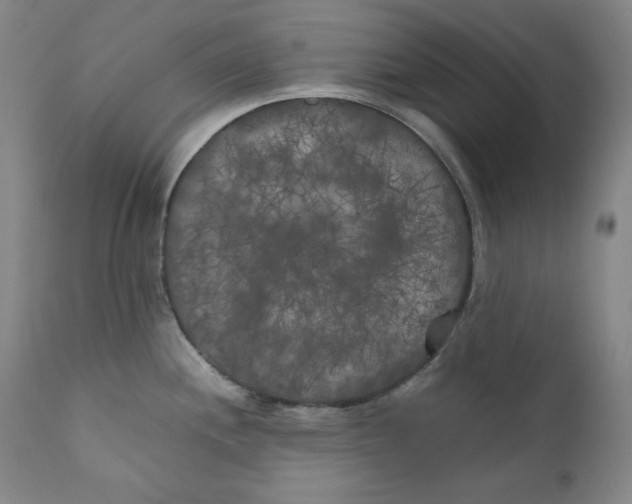 X0000111011244200907101308