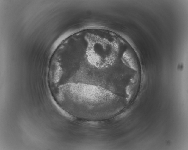 X0000111011245200907101308