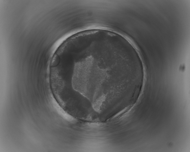 X0000111011246200907101308