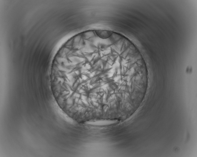 X0000111011248200907101308