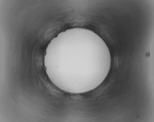 X0000111011250200907101307