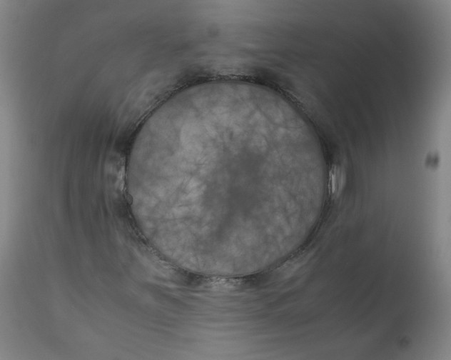 X0000111011251200907101307