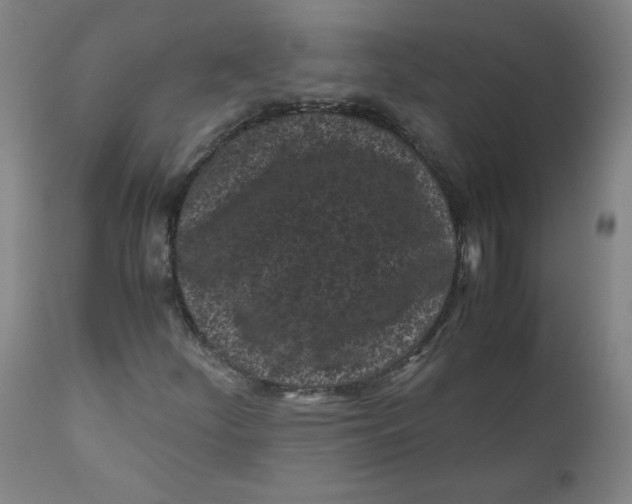 X0000111011252200907101307