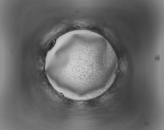 X0000111011253200907101307