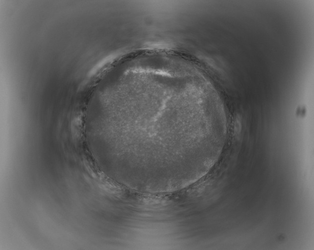 X0000111011254200907101307