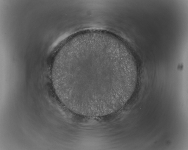 X0000111011255200907101307