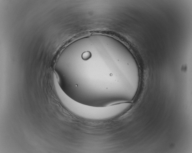 X0000111011257200907101307