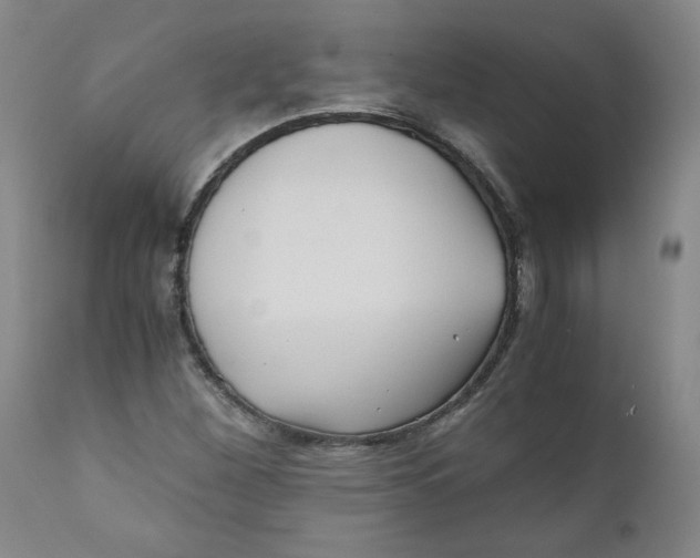 X0000111011260200907101307