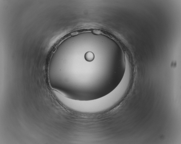 X0000111011261200907101307