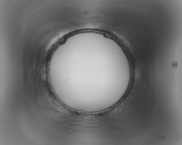X0000111011262200907101307