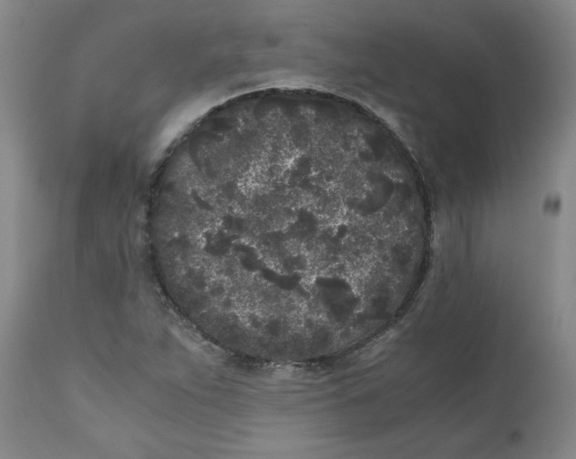 X0000111011263200907101307
