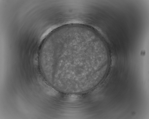 X0000111011266200907101307