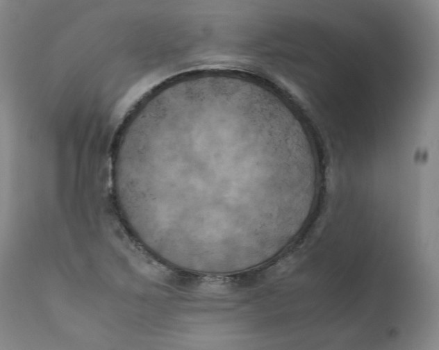 X0000111011267200907101307