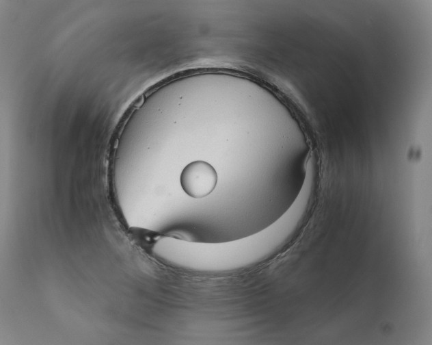 X0000111011268200907101307