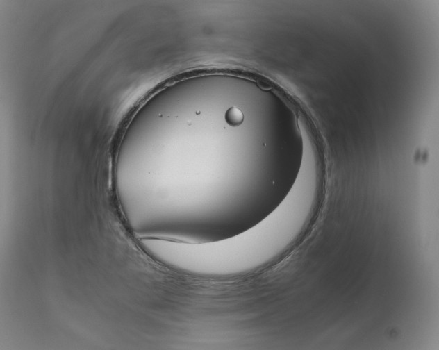 X0000111011269200907101307