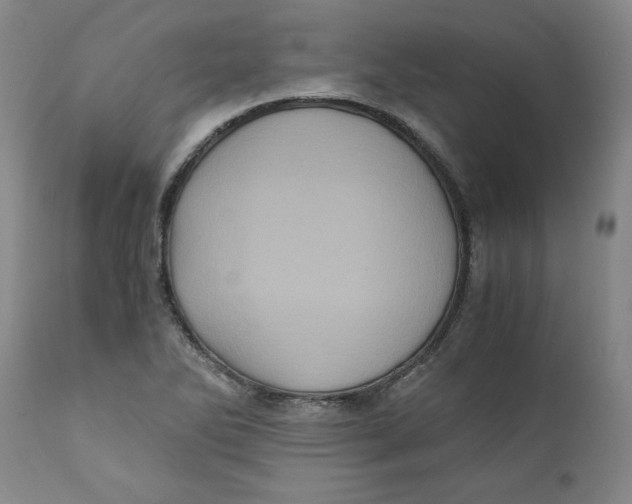 X0000111011270200907101307