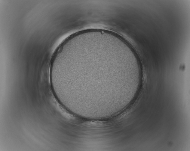X0000111011272200907101307