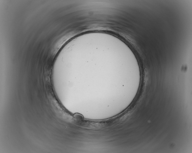 X0000111011273200907101307