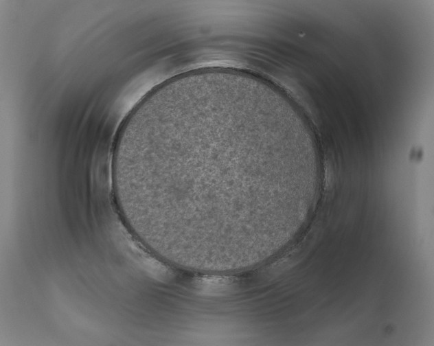 X0000111011274200907101307