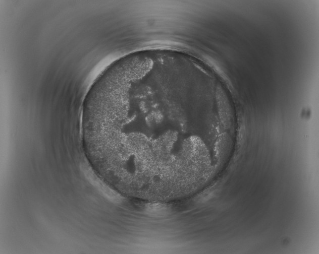 X0000111011275200907101307