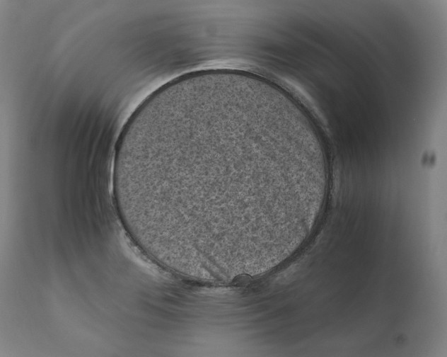 X0000111011276200907101307
