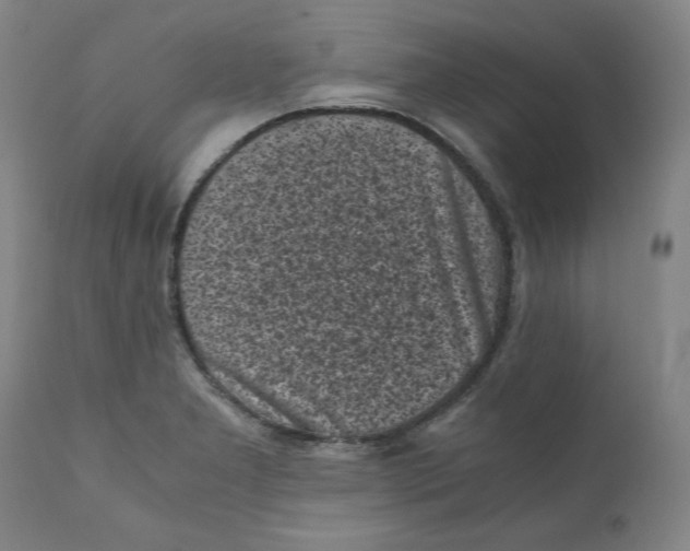X0000111011277200907101307