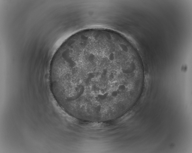 X0000111011279200907101307