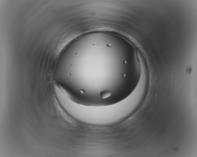 X0000111011281200907101307