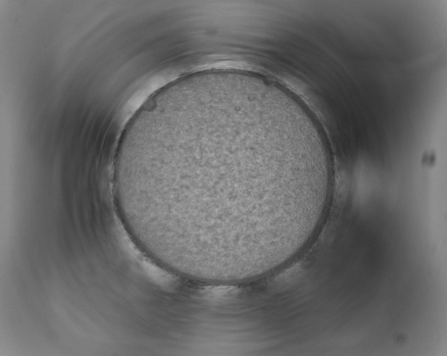 X0000111011282200907101307