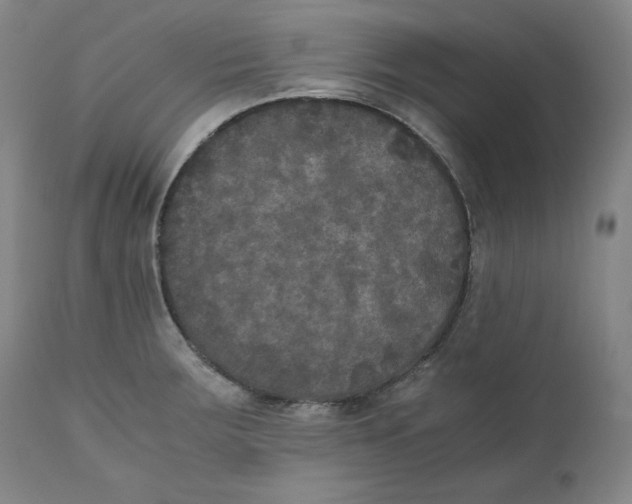 X0000111011283200907101307