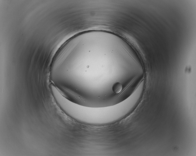 X0000111011284200907101307
