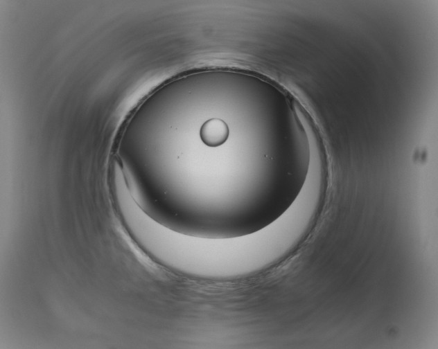 X0000111011285200907101307