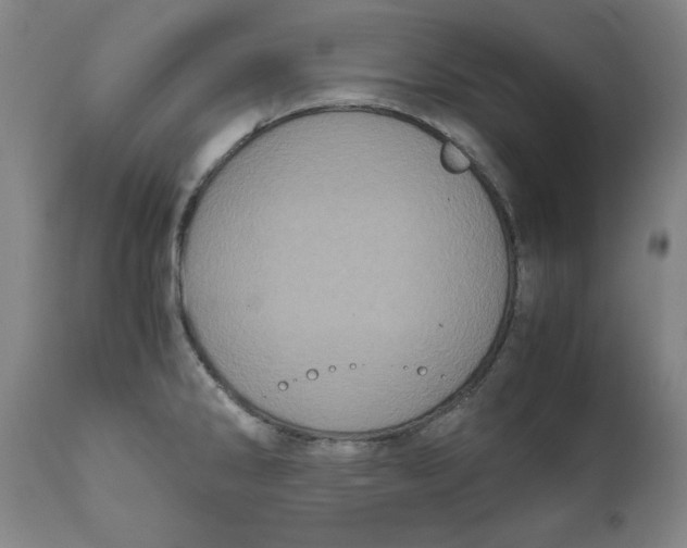 X0000111011286200907101307