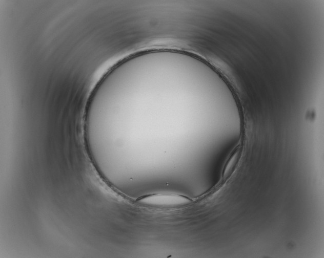 X0000111011288200907101307