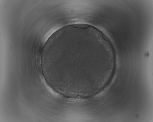 X0000111011289200907101307