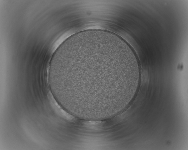 X0000111011290200907101307