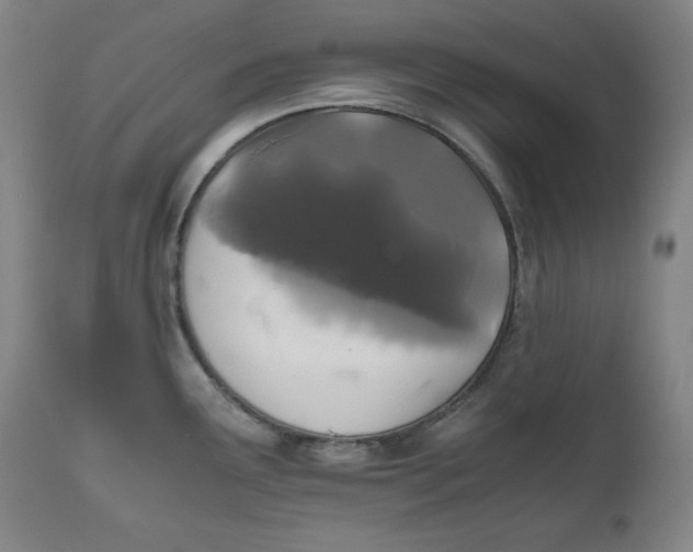 X0000111011291200907101307