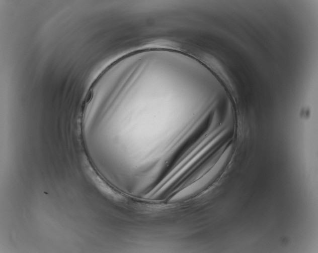 X0000111011292200907101307