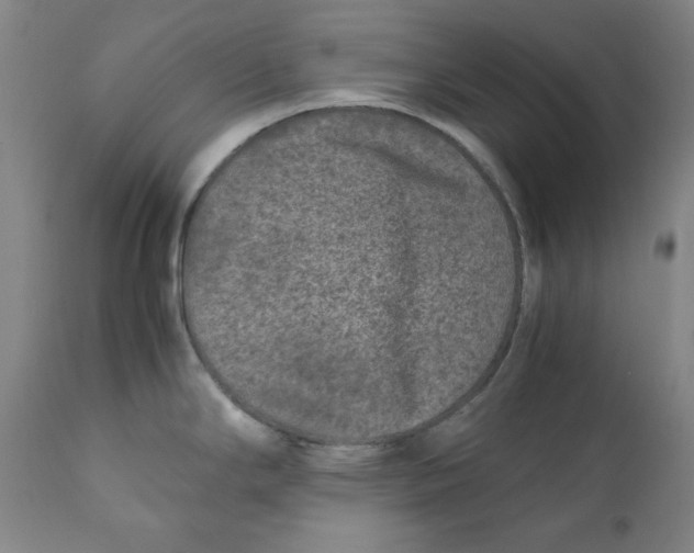 X0000111011294200907101307