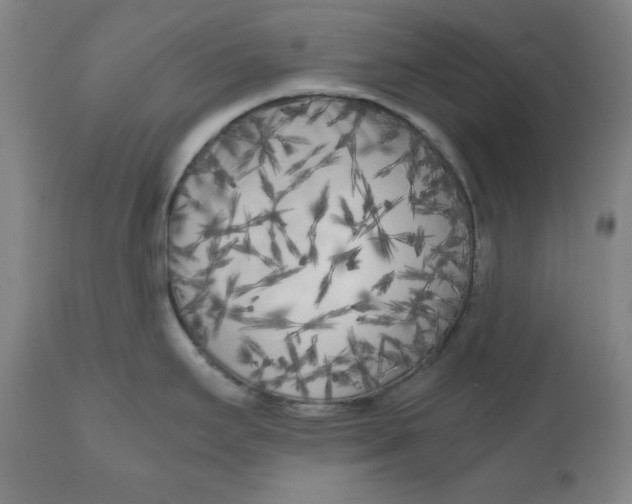 X0000111011295200907101307