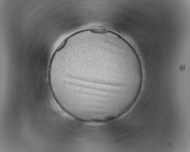 X0000111011296200907101307