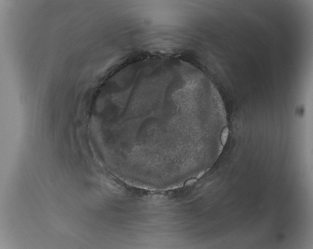 X0000111011297200907101306