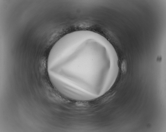 X0000111011299200907101306