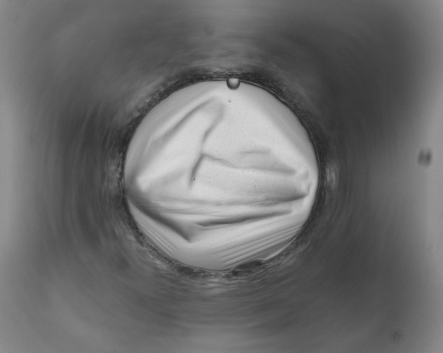 X0000111011300200907101306