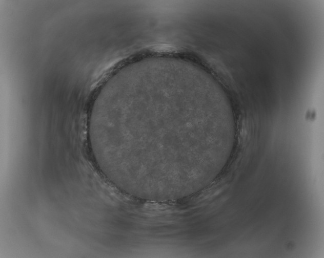 X0000111011301200907101306