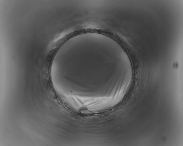 X0000111011303200907101306